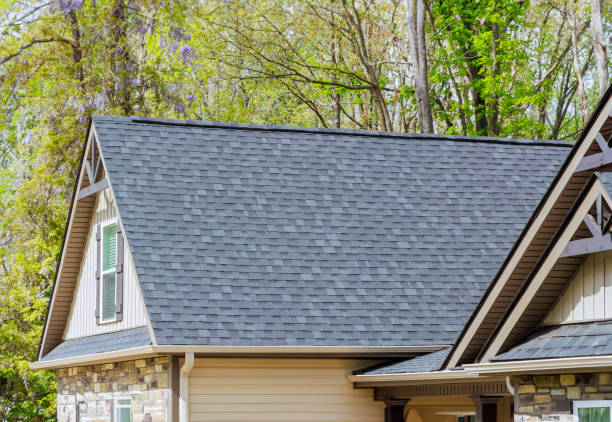 Best Roof Moss and Algae Removal  in Clinton, NC